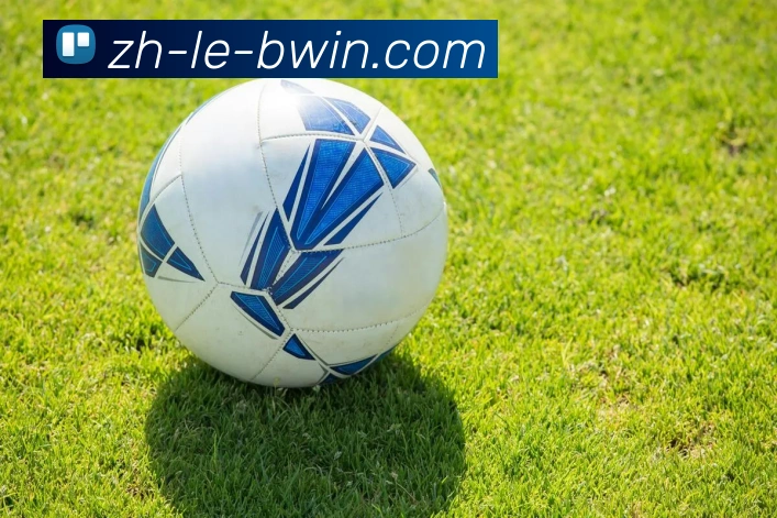 Bwin必赢官网APP 封面图